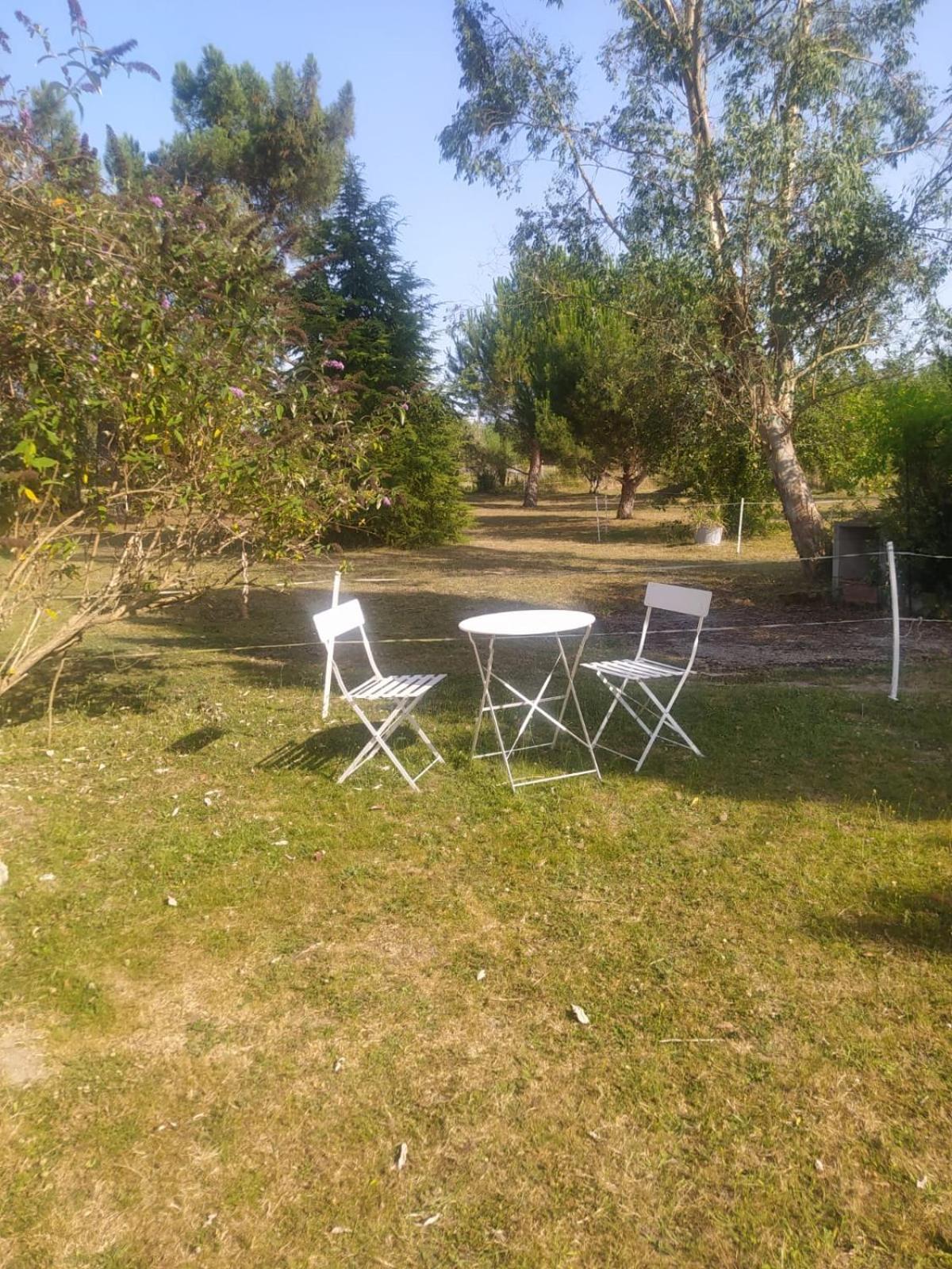 Maison Dans Un Ecrin De Verdure Hébergement de vacances
